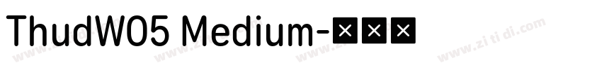 ThudW05 Medium字体转换